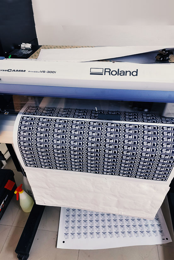 roland vs-200i print & cut употребяван
